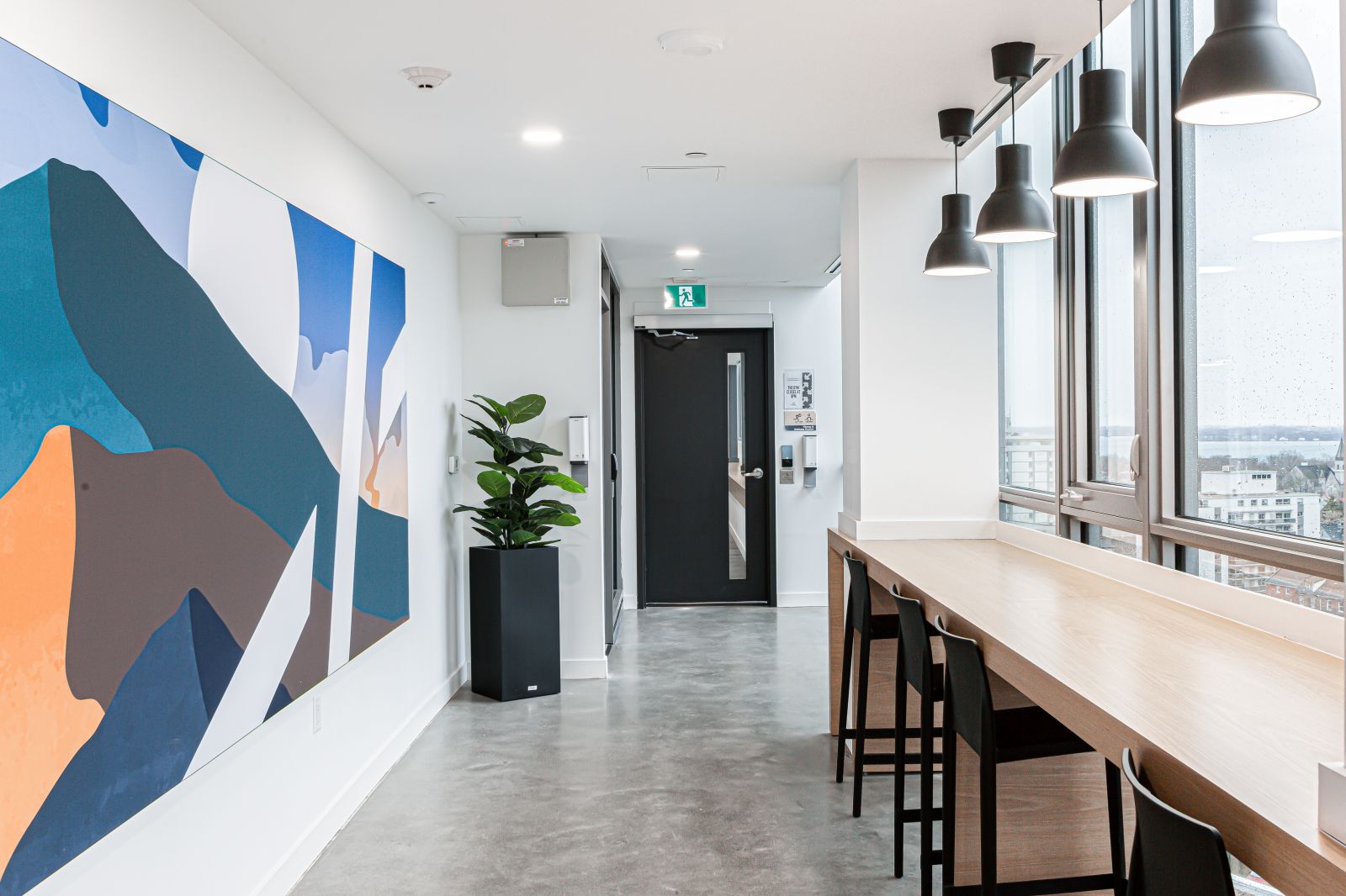 study areas queen's university off campus housing
